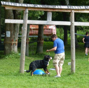 7_p1120115_web.jpg